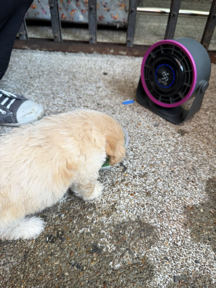 จินโยกอยู่ในฟลอร์ tweet media