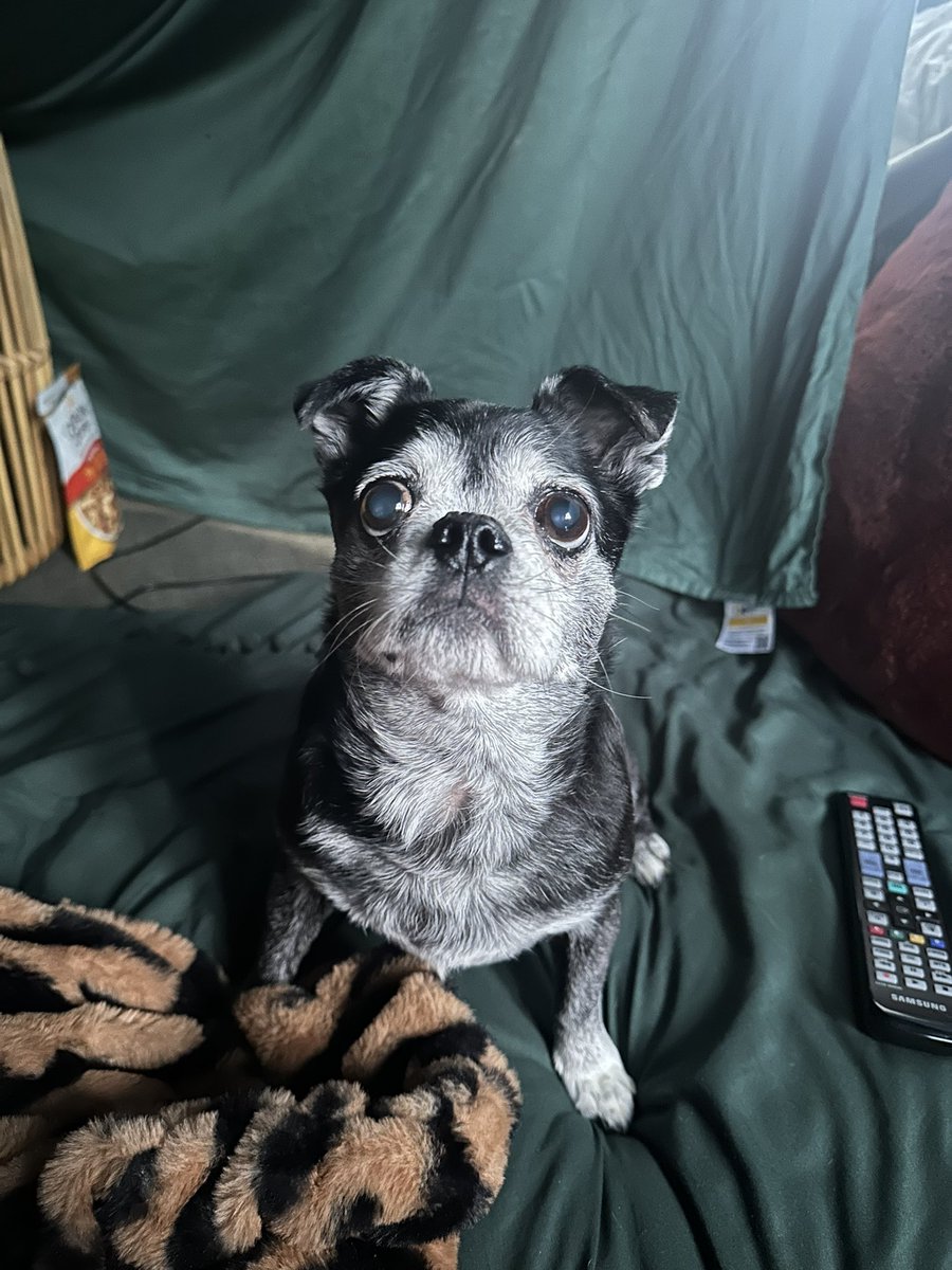 waria ☭ 🤌 THE RETURN tweet media