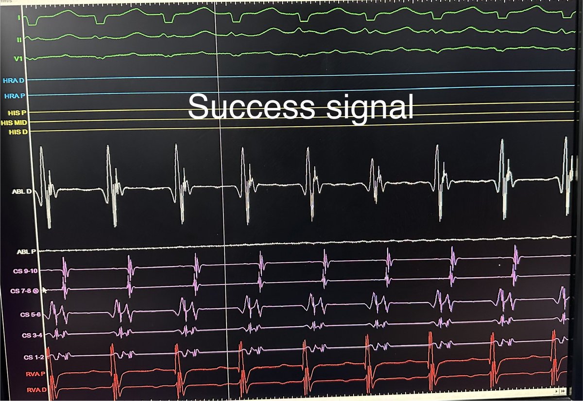 javad mikaeili tweet media