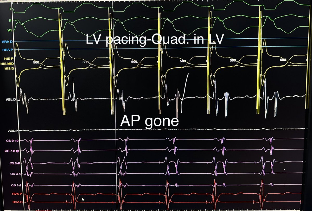 javad mikaeili tweet media