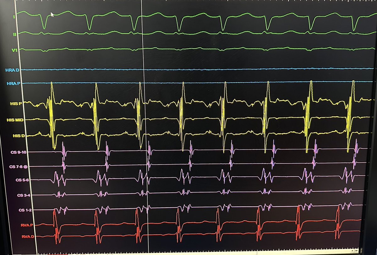 javad mikaeili tweet media