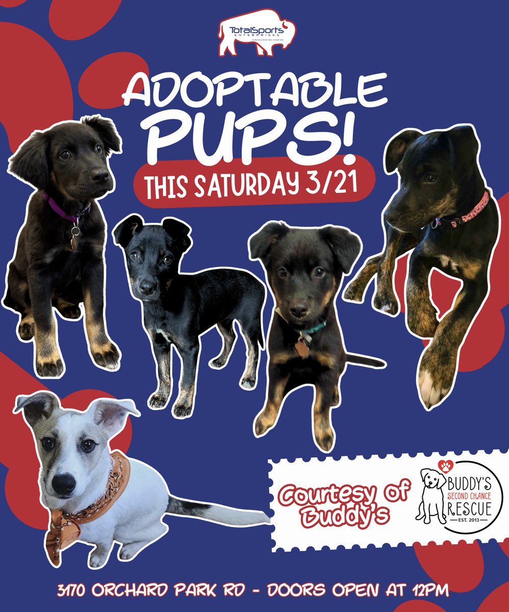 Total Sports Buffalo tweet media