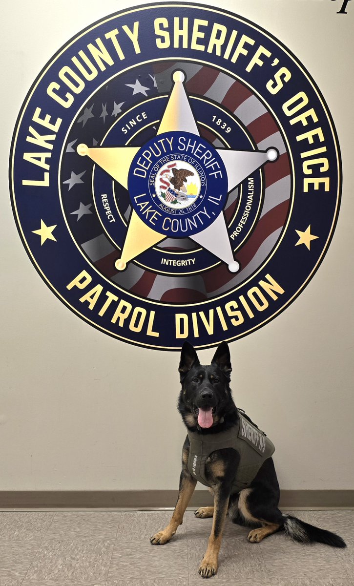 Lake County Sheriff’s Office K9 Hemi has Received Donation of Body ...