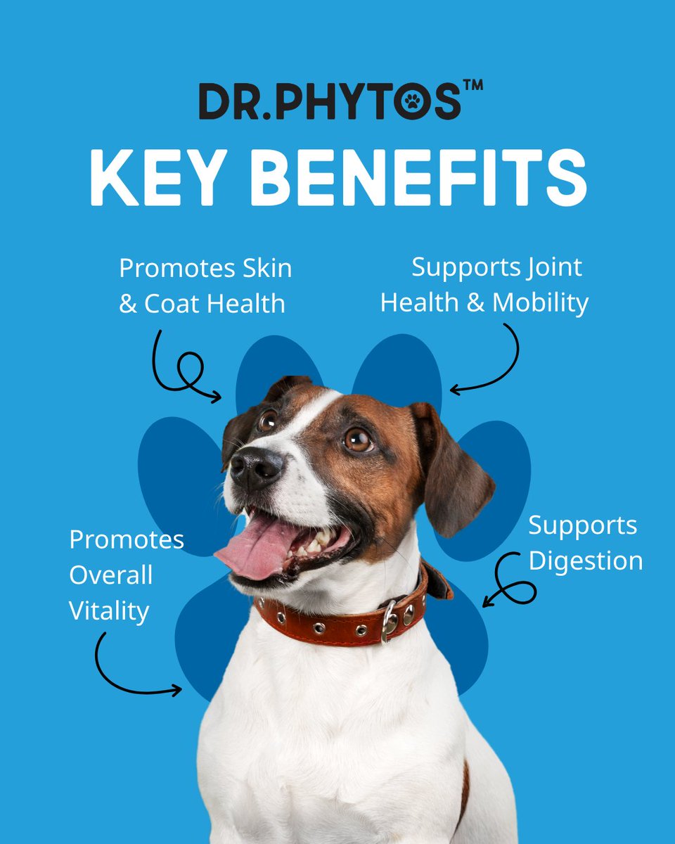 DrPhytos's tweet photo. Support healthy skin, strong joints, and a happy tummy. Because vitality starts with care you can trust. Give your dog the wellness support they deserve.
.
.
.
.
#DrPhytos #DogNutrition #PetWellness #HealthyDogs #DogHealth #PetSupplements #WholePetCare #DogLovers #FurBabyCare https://t.co/qbEBxD2mox