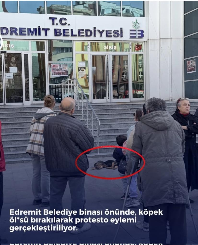 üvercinka tweet media