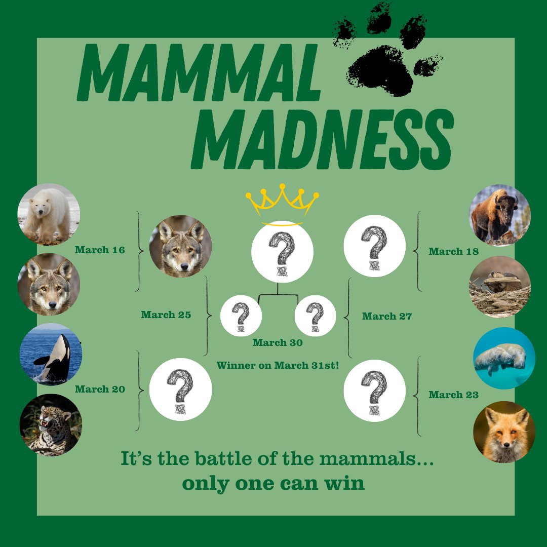 Defenders of Wildlife tweet media