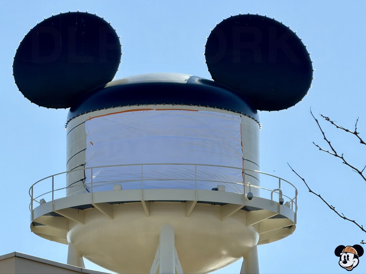 DLP Works tweet media