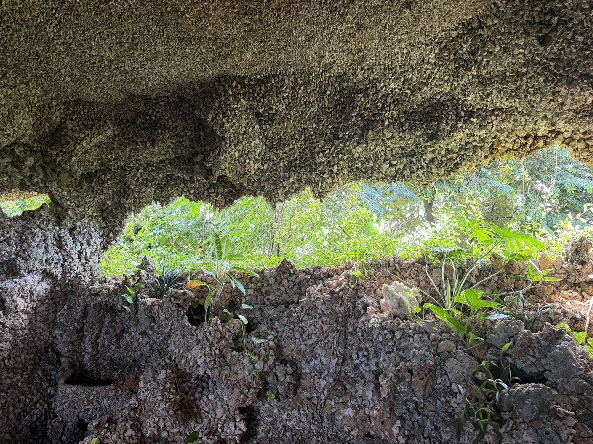 จินโยกอยู่ในฟลอร์ tweet media