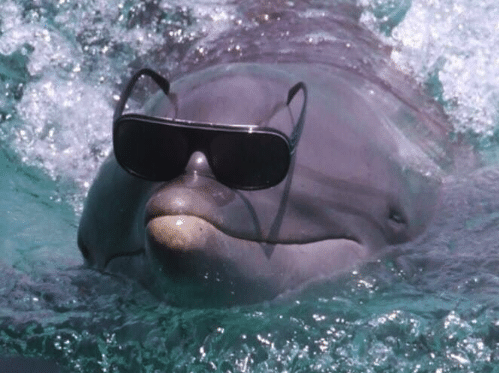 David Slováček tweet media