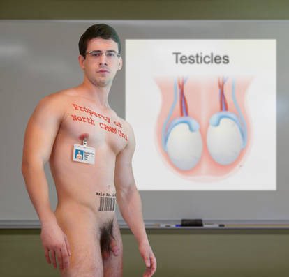 Master Red tweet media