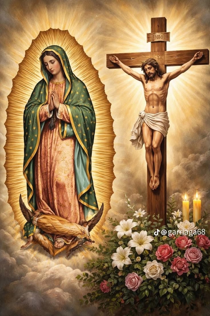 ARISTOTLE 🇻🇦🇻🇦 tweet media