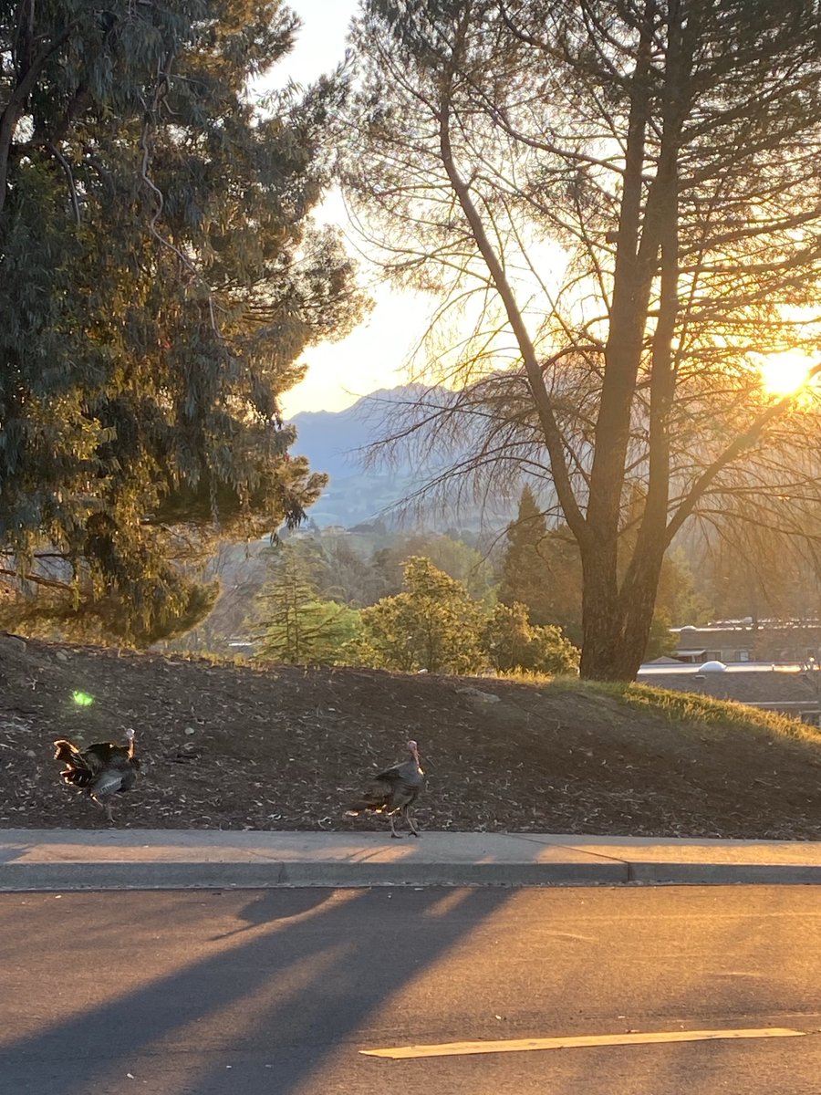 Witzshared - The Blog tweet media