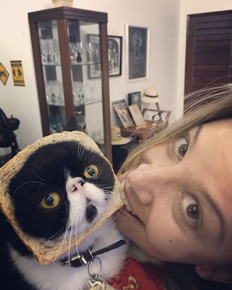 INBREDCATONSOL's tweet photo. 🍞 https://t.co/0DAADDjym6