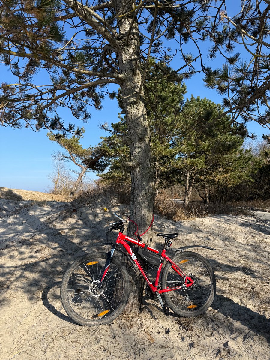 Приключения красной шапочки tweet media