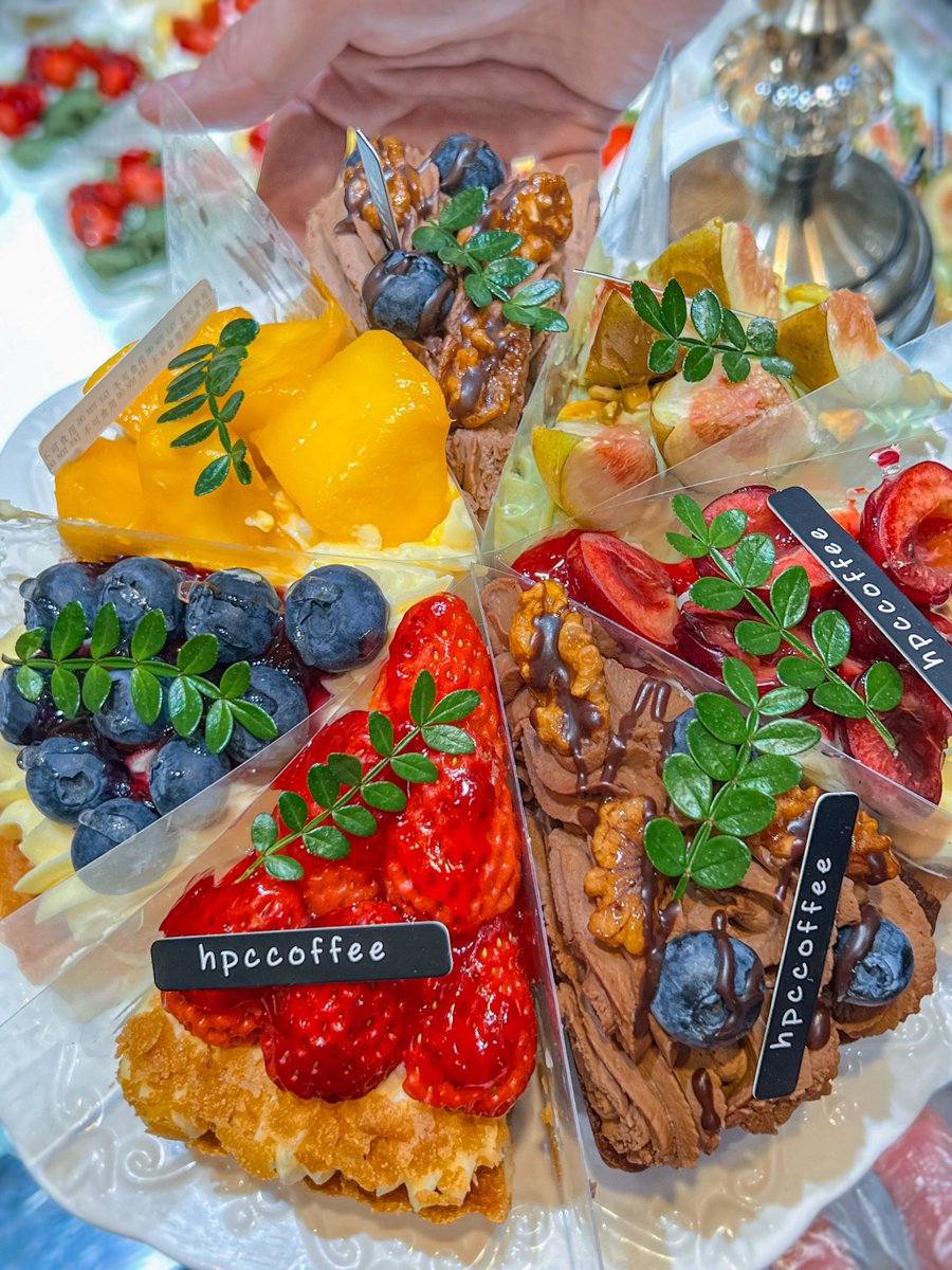 r/BrightonHoveAlbion tweet media