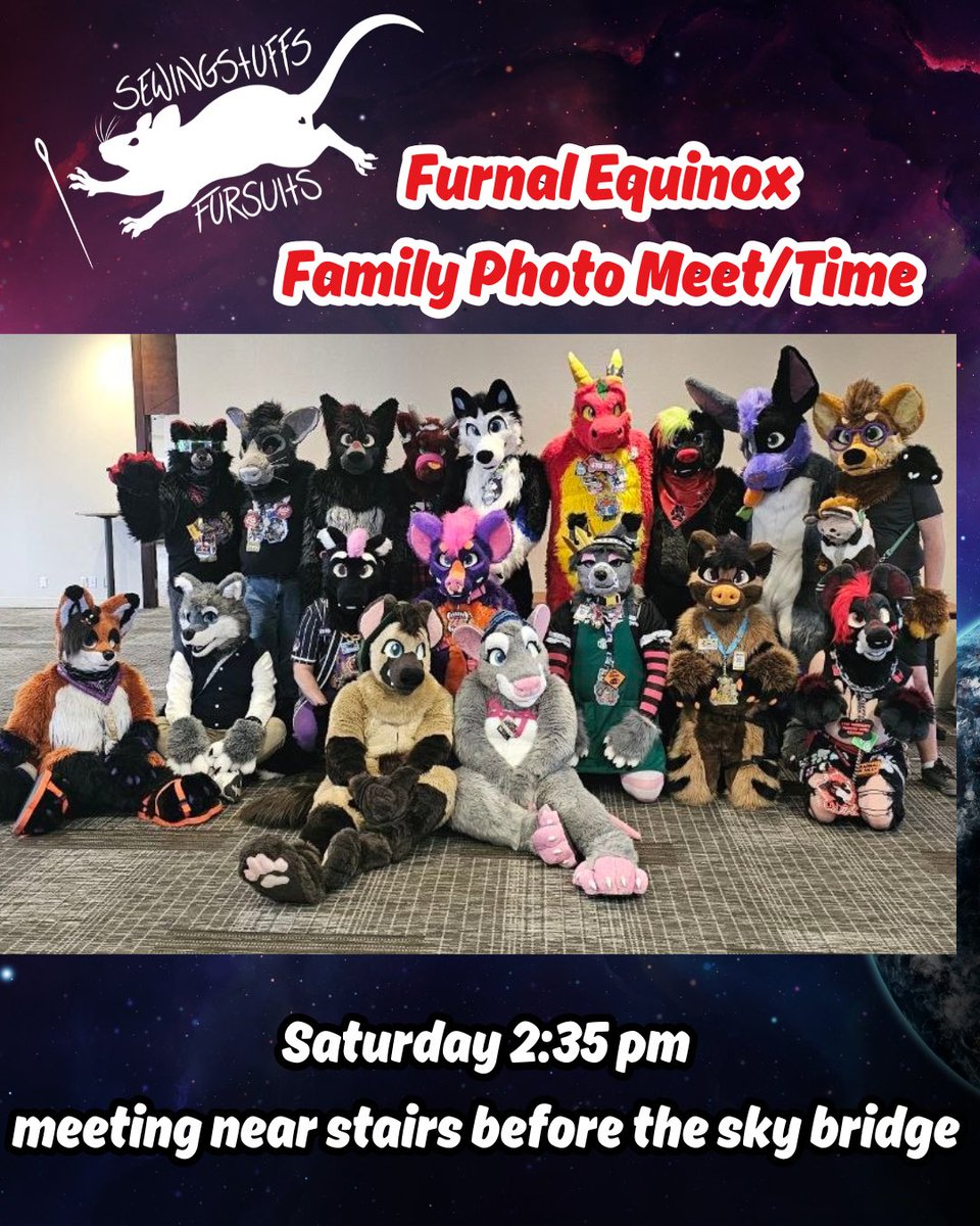 SewingStuffs 🇨🇦🐀 tweet media