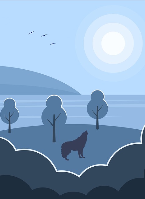 Mike Schreiner tweet media