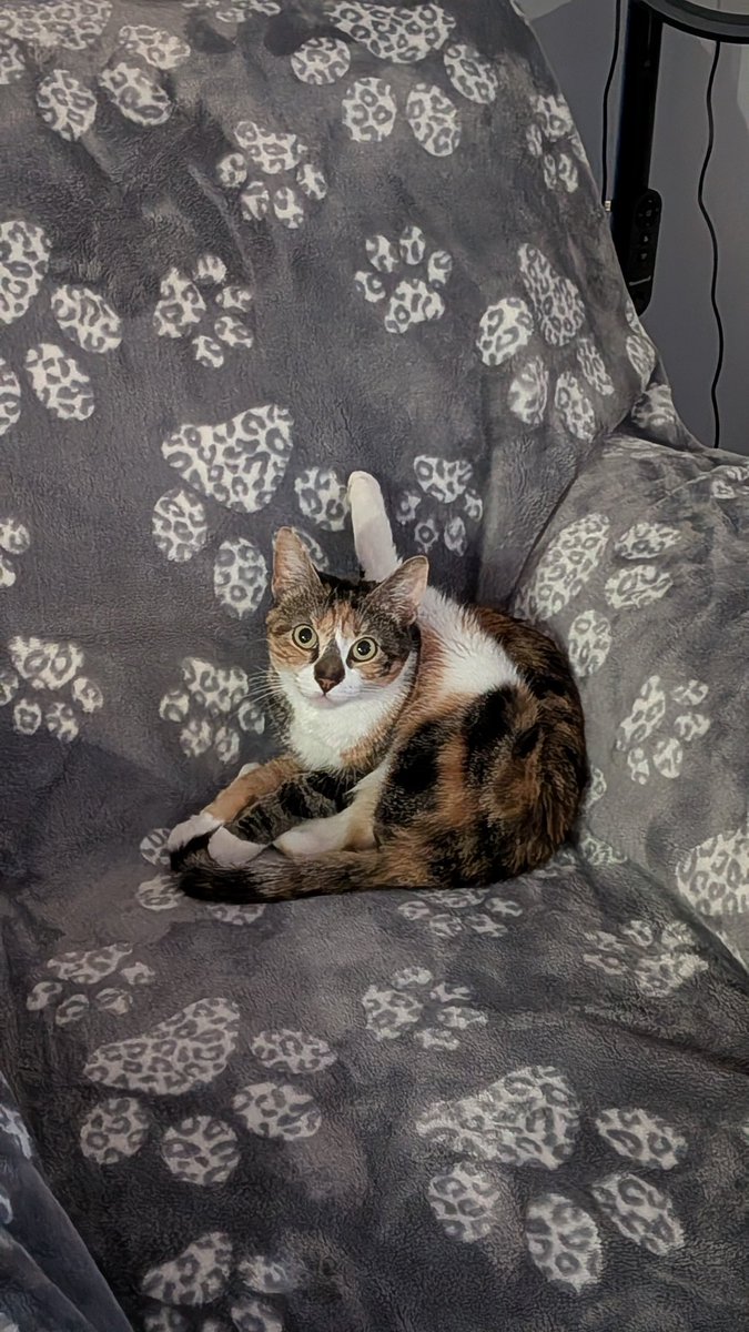 Rachel 🩵💙 tweet media