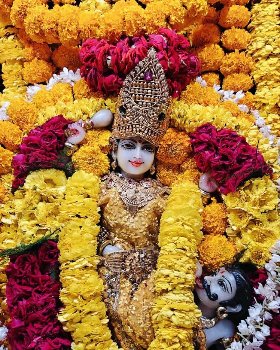 Maa BaglaMukhi Mandir tweet media