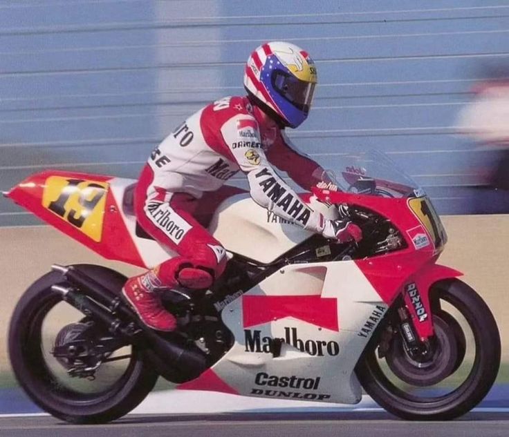 MORI chan tweet media