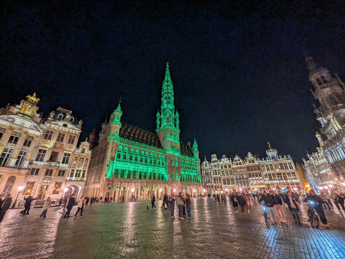 Conor Mulvihill 🐄 tweet media