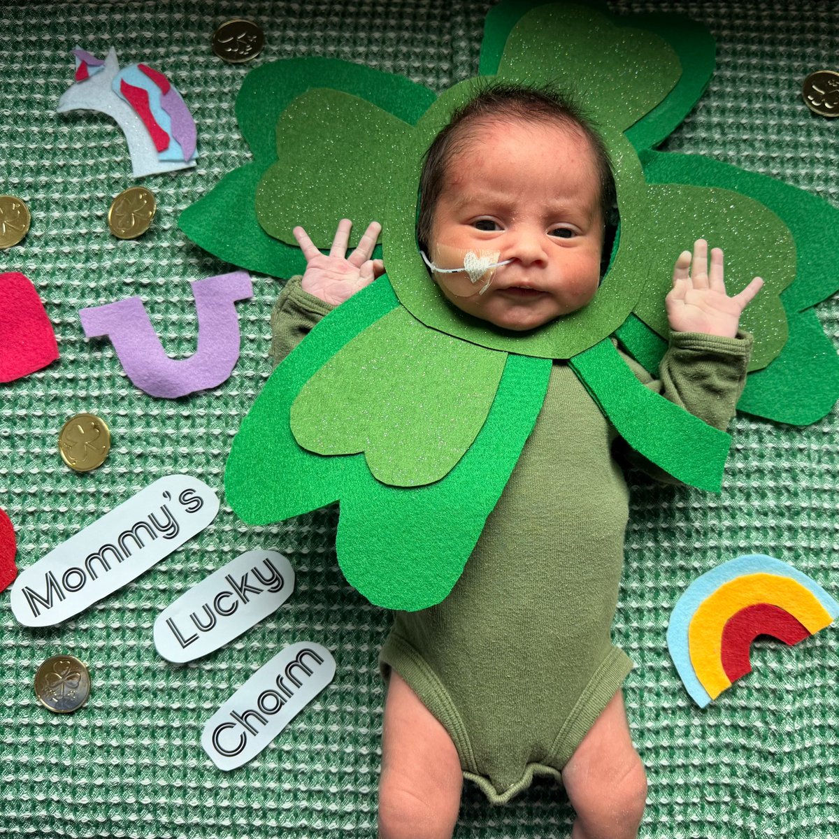 Gideon Verdin tweet media