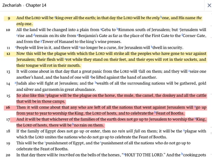 ₿itcoiner Post tweet media