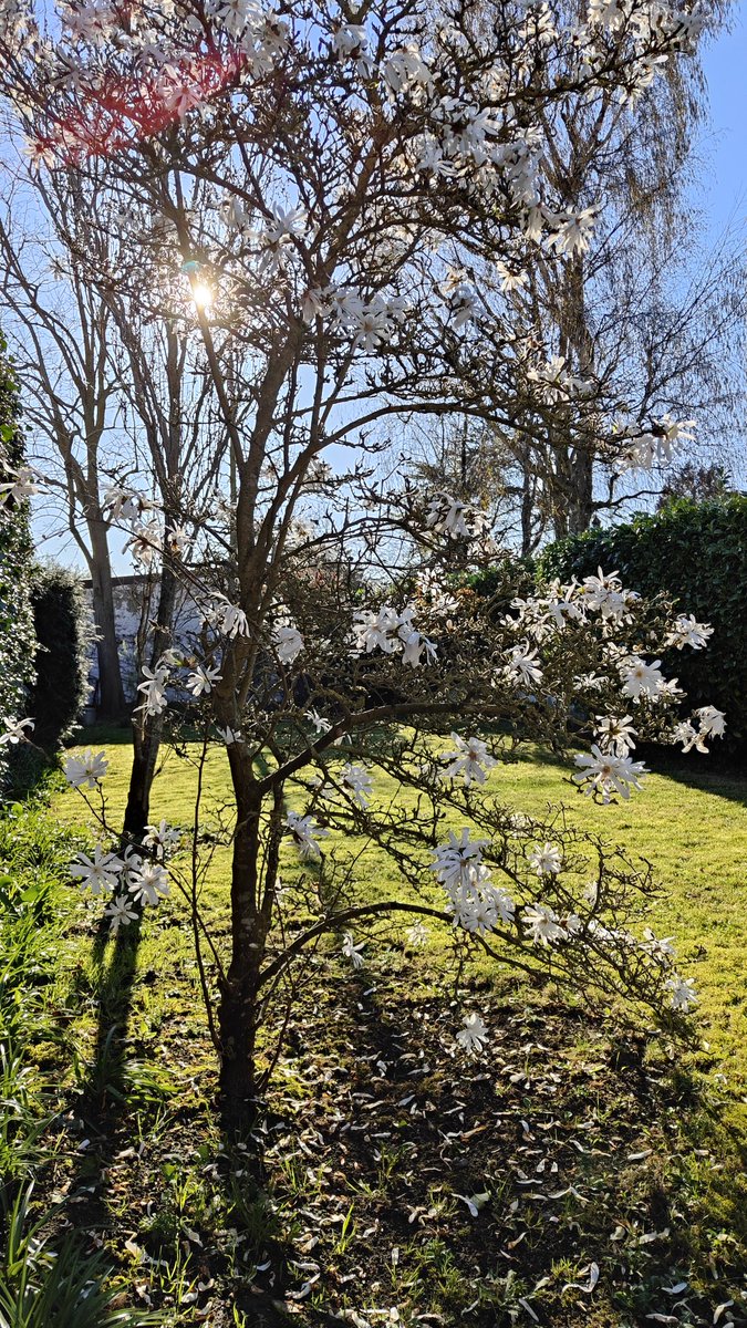 Paco Soriano 🇪🇦 tweet media