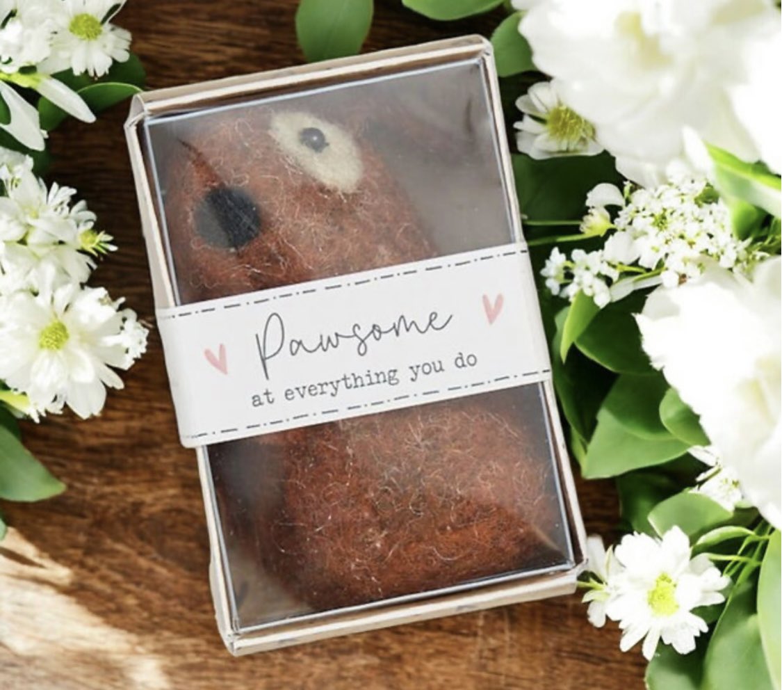 Mr Lumpy & Friends tweet media