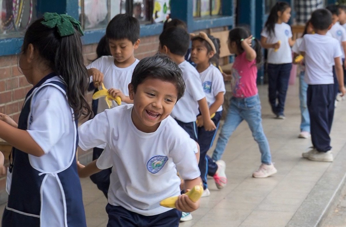 UCEE_CIV's tweet photo. 📚La UCEE entregó 15 cátedras a la EOUM No. 5 “Miguel García Granados”, zona 1, Ciudad de Guatemala.
🗣️“Con mobiliario adecuado, la enseñanza será mejor”, destacó la docente Alma Lisseth Rodríguez.
Seguimos fortaleciendo la educación en el país.
#UCEE #CIV #Educación #Guatemala https://t.co/UumBGTzwKs