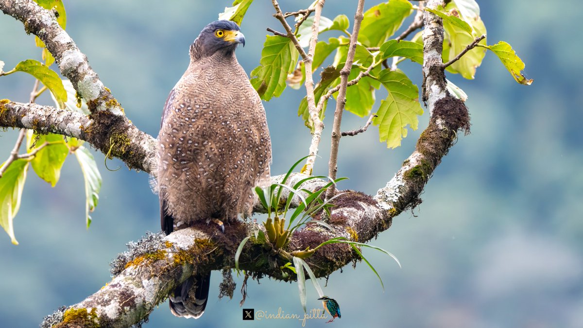 Mohit Mehta tweet media