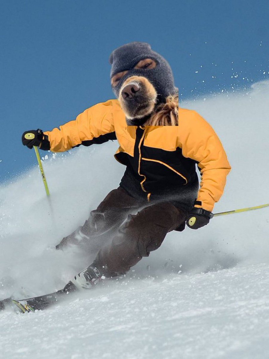 SKI MASK water bottle 🥷🐶 tweet media