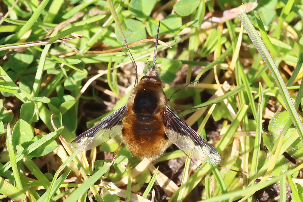 David Emley tweet media