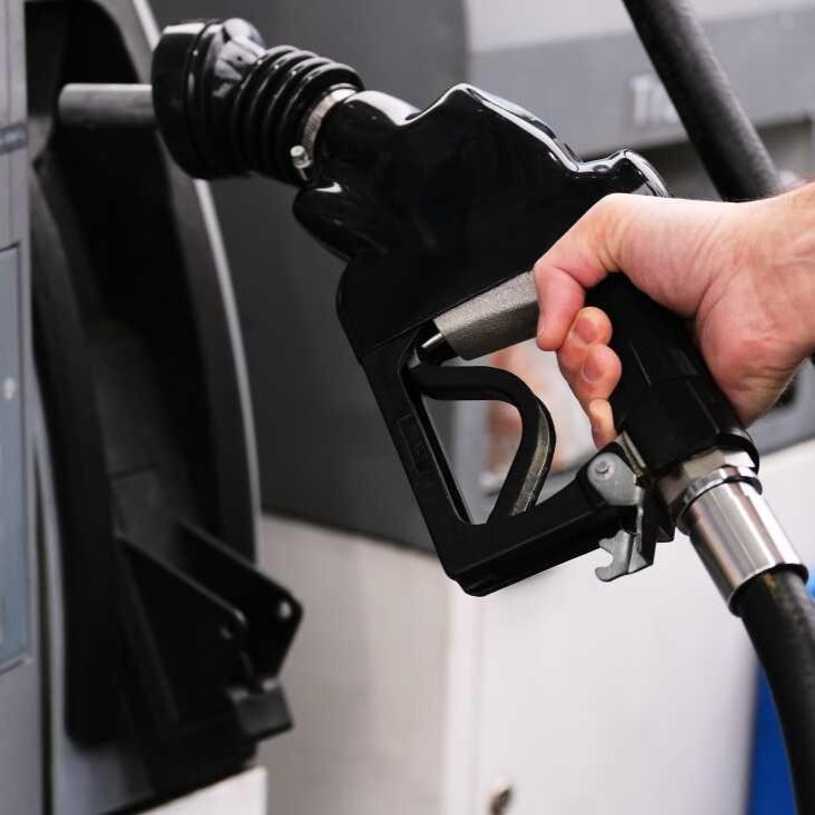 FactPost tweet media