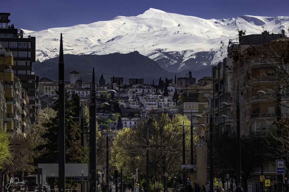 José Antonio Quirantes Calvo tweet media