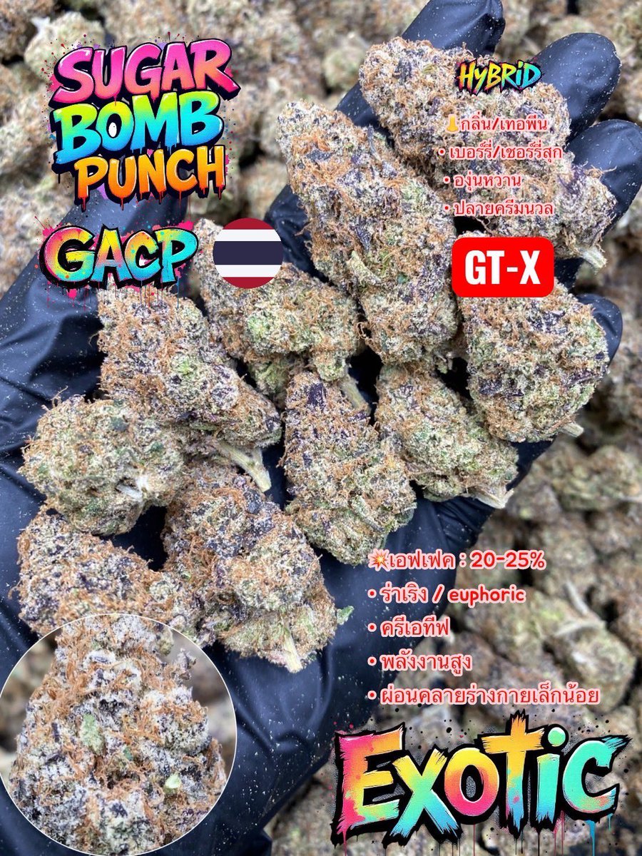 cnfarmthailand's tweet photo. 💣 Sugar Bomb Punch 🍬
☀️ Sativa40% / 🌙 Indica60%

Well-cured flowers, sweet and smooth☄️

‼️Order Here🔥 https://t.co/c0qtVyG7ck

#กัญชาพัทยา https://t.co/DvIwDr83yA
