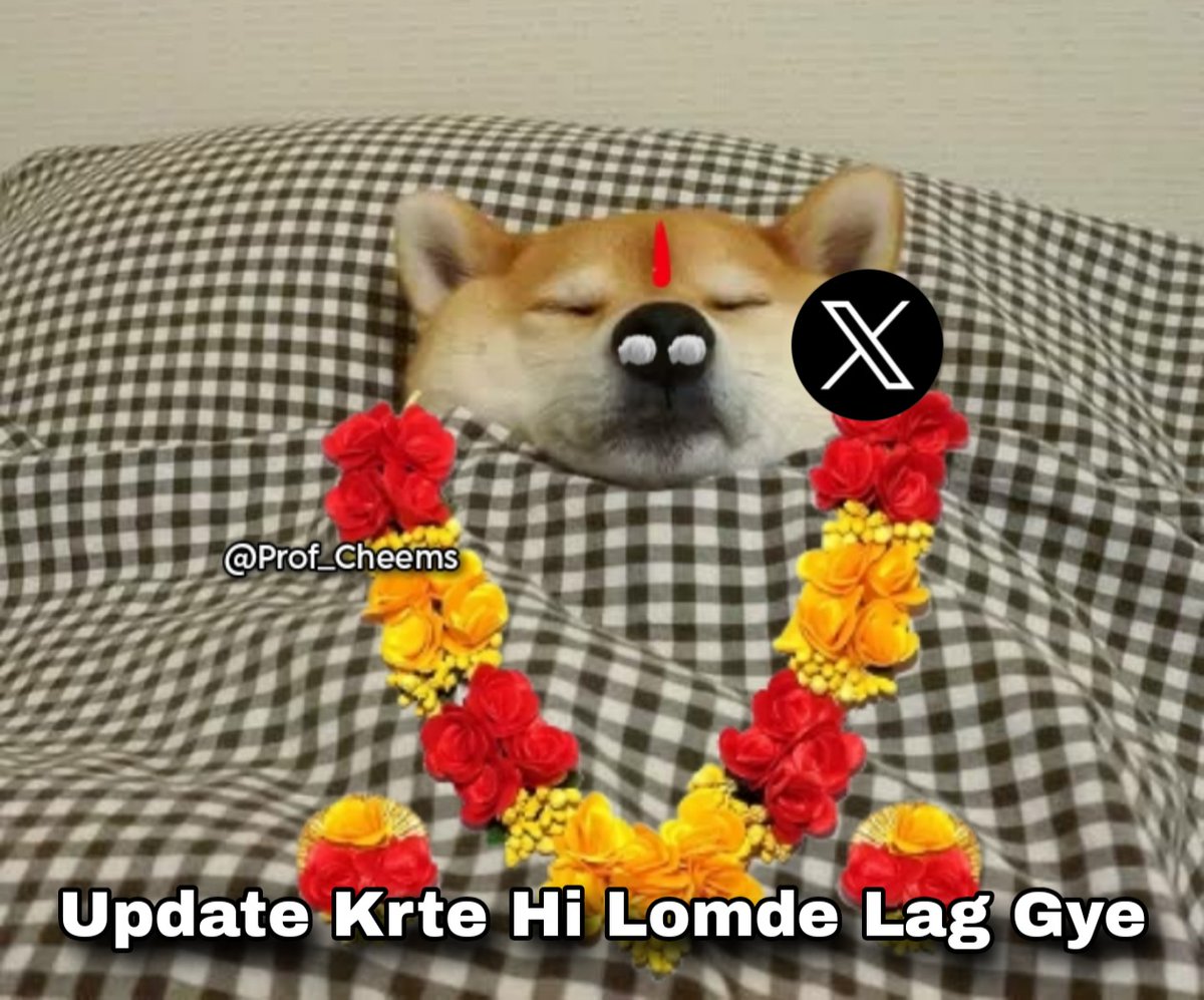 Prof_Cheems's tweet photo. #XDown
💀 https://t.co/TM0RFFvdvS