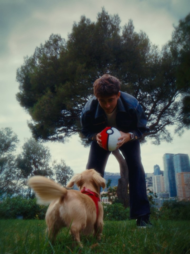 charles' mini arcanine 🤍