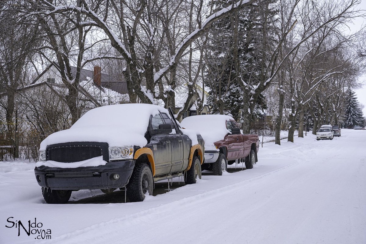 Sindo Novoa tweet media