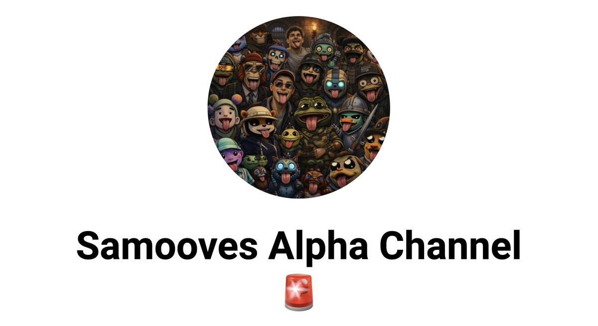 Samooves tweet media