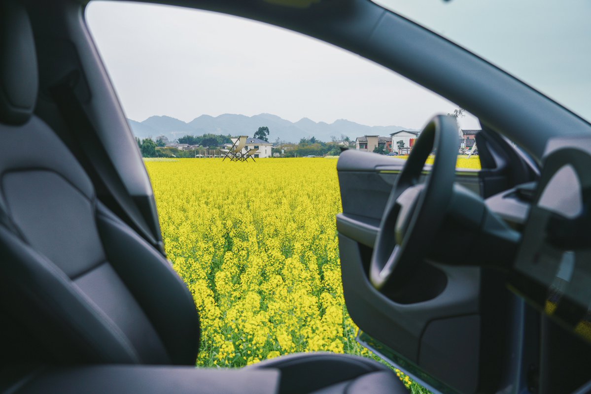 Tesla Asia tweet media