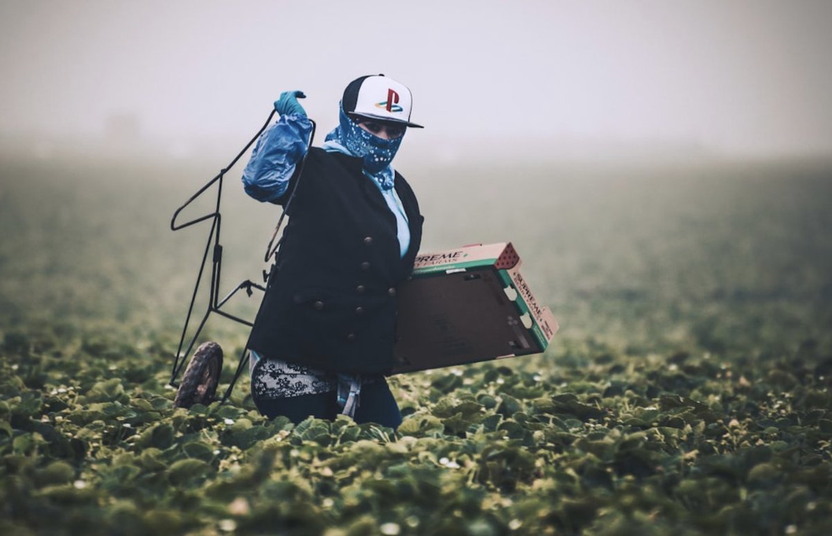 timgruver.bsky.social ☕📰💻 tweet media