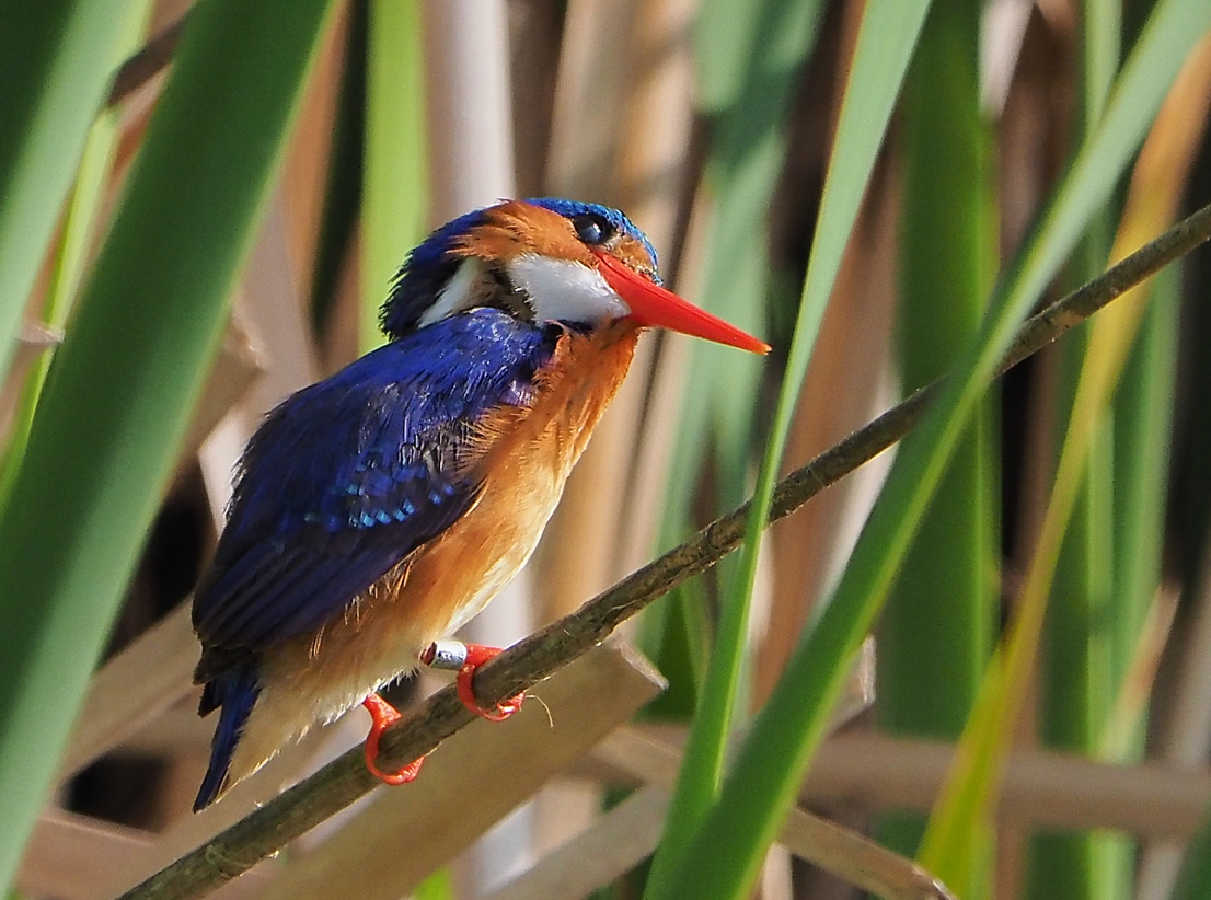 Brian E.Carruthers tweet media