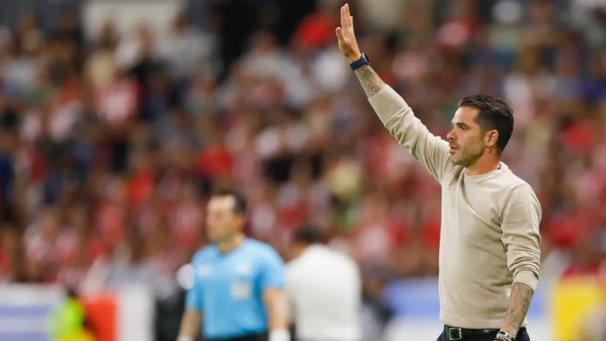 Cooperativa tweet media