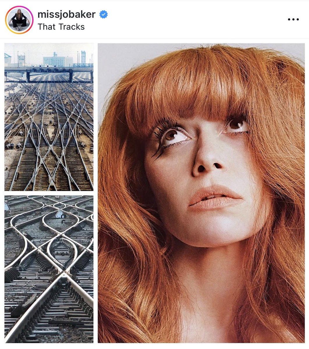 didyoujustsaywig tweet media