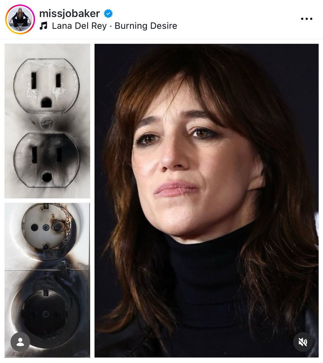 didyoujustsaywig tweet media