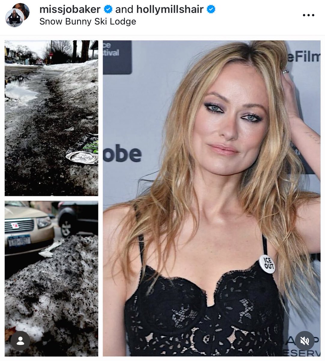 didyoujustsaywig tweet media