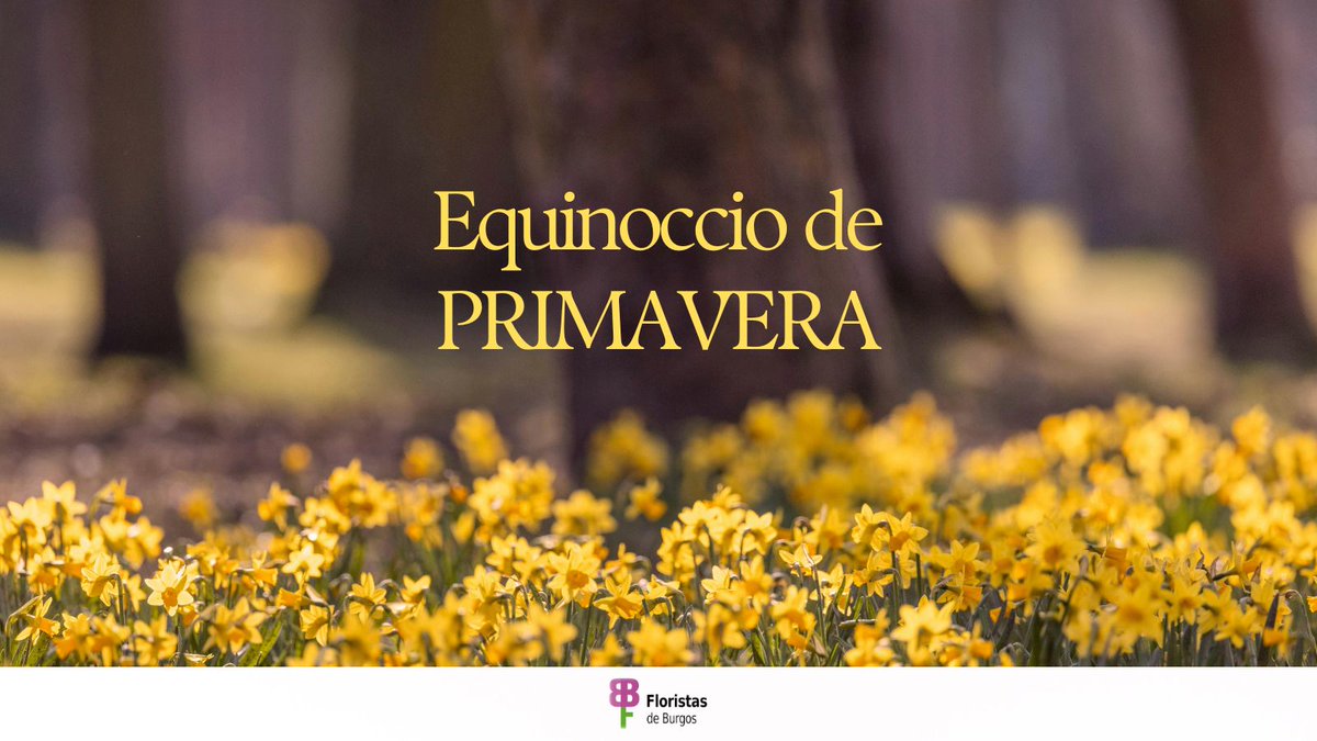 Fiesta de las Flores tweet media