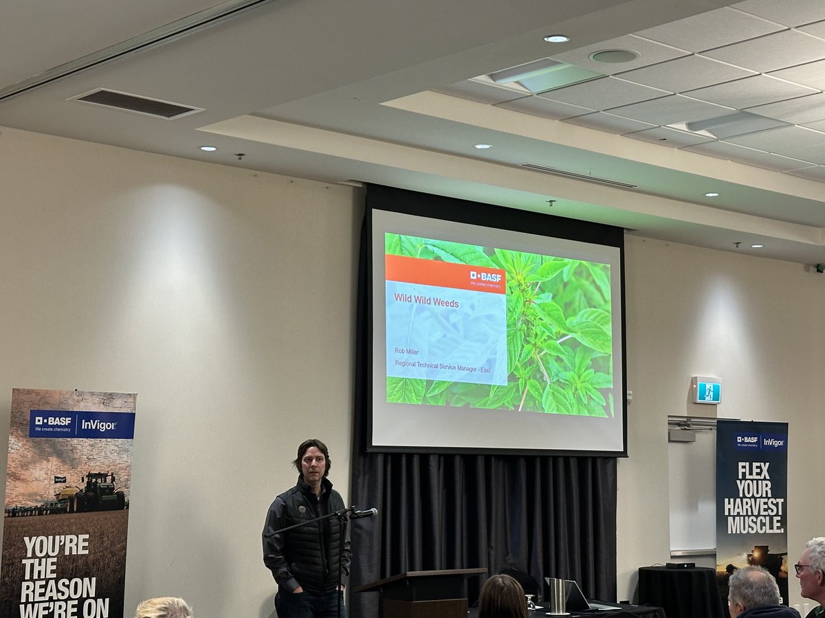 Rob Miller tweet media