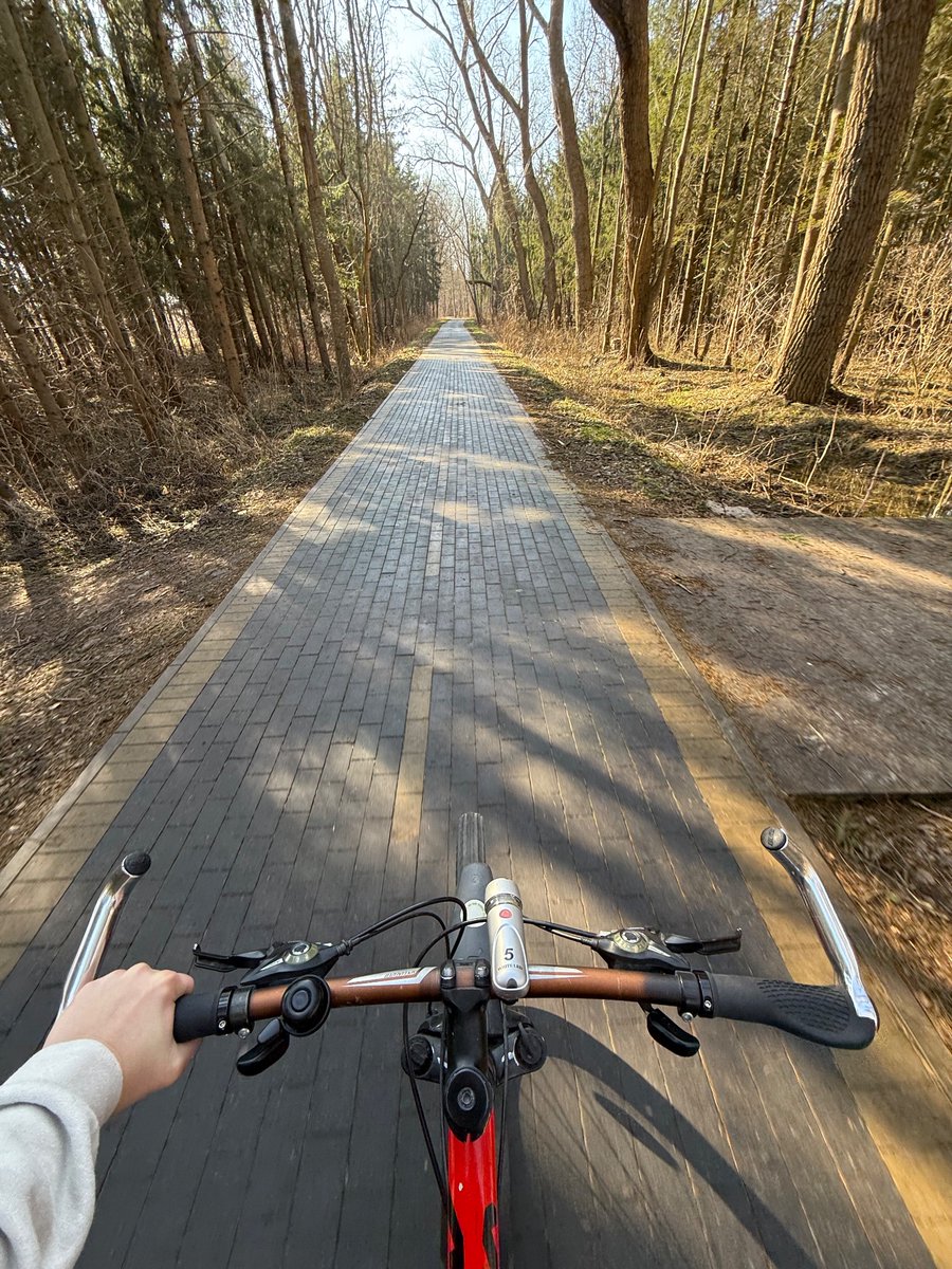 Приключения красной шапочки tweet media